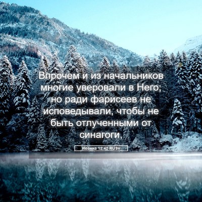 Picture 05 - Иоанна 12:42 RUSV - Впрочем и из начальников - Bible Verse Picture