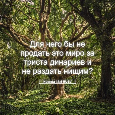 Picture 05 - Иоанна 12:5 RUSV - Для чего бы не продать это - Bible Verse Picture