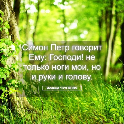 Picture 05 - Иоанна 13:9 RUSV - Симон Петр говорит Ему: - Bible Verse Picture