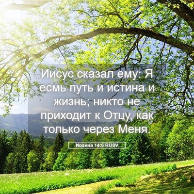 Picture 05 - Иоанна 14:6 RUSV - Иисус сказал ему: Я есмь - Bible Verse Picture