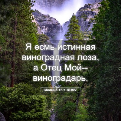 Picture 05 - Иоанна 15:1 RUSV - Я есмь истинная - Bible Verse Picture