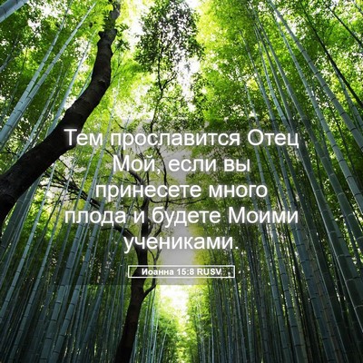 Picture 05 - Иоанна 15:8 RUSV - Тем прославится Отец Мой, - Bible Verse Picture