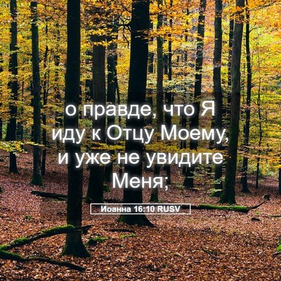 Picture 05 - Иоанна 16:10 RUSV - о правде, что Я иду к Отцу - Bible Verse Picture