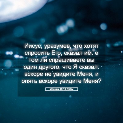 Picture 05 - Иоанна 16:19 RUSV - Иисус, уразумев, что хотят - Bible Verse Picture