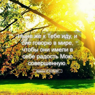 Picture 05 - Иоанна 17:13 RUSV - Ныне же к Тебе иду, и сие - Bible Verse Picture