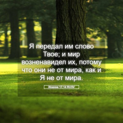 Picture 05 - Иоанна 17:14 RUSV - Я передал им слово Твое; и - Bible Verse Picture