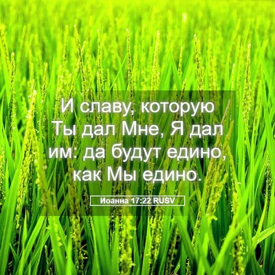 Picture 05 - Иоанна 17:22 RUSV - И славу, которую Ты дал Мне, - Bible Verse Picture