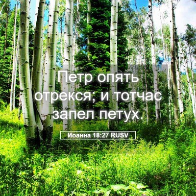 Picture 05 - Иоанна 18:27 RUSV - Петр опять отрекся; и - Bible Verse Picture
