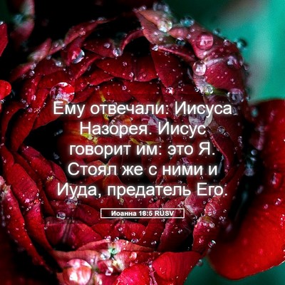 Picture 05 - Иоанна 18:5 RUSV - Ему отвечали: Иисуса - Bible Verse Picture