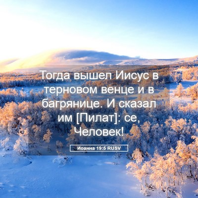Picture 05 - Иоанна 19:5 RUSV - Тогда вышел Иисус в - Bible Verse Picture