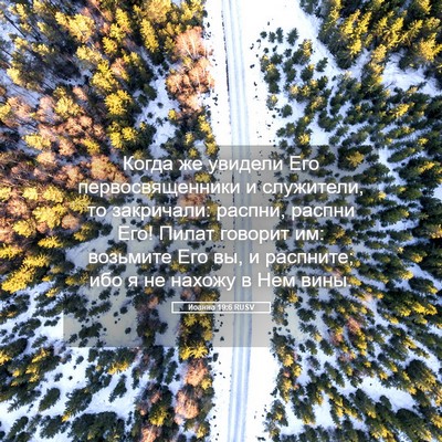 Picture 05 - Иоанна 19:6 RUSV - Когда же увидели Его - Bible Verse Picture