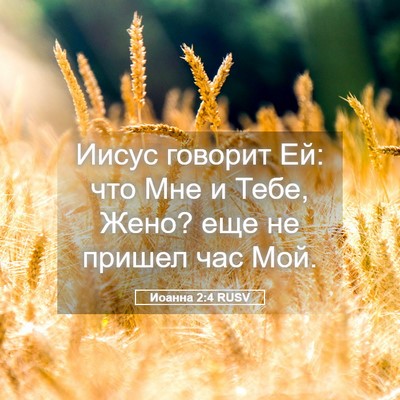 Picture 05 - Иоанна 2:4 RUSV - Иисус говорит Ей: что Мне и - Bible Verse Picture