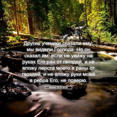 Picture 05 - Иоанна 20:25 RUSV - Другие ученики сказали - Bible Verse Picture