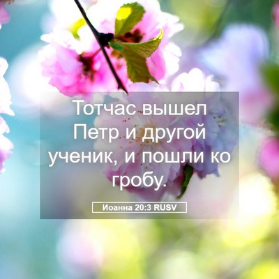 Picture 05 - Иоанна 20:3 RUSV - Тотчас вышел Петр и другой - Bible Verse Picture