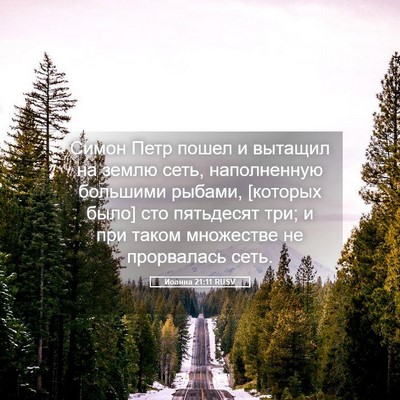 Picture 05 - Иоанна 21:11 RUSV - Симон Петр пошел и вытащил - Bible Verse Picture
