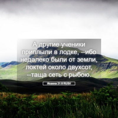Picture 05 - Иоанна 21:8 RUSV - А другие ученики приплыли - Bible Verse Picture