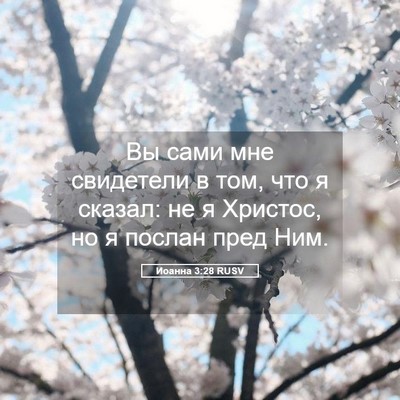 Picture 05 - Иоанна 3:28 RUSV - Вы сами мне свидетели в - Bible Verse Picture