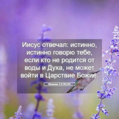 Picture 05 - Иоанна 3:5 RUSV - Иисус отвечал: истинно, - Bible Verse Picture
