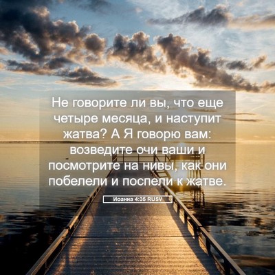 Picture 05 - Иоанна 4:35 RUSV - Не говорите ли вы, что еще - Bible Verse Picture