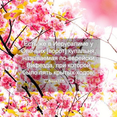 Picture 05 - Иоанна 5:2 RUSV - Есть же в Иерусалиме у - Bible Verse Picture