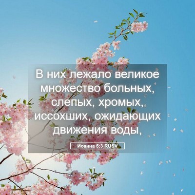 Picture 05 - Иоанна 5:3 RUSV - В них лежало великое - Bible Verse Picture