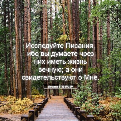 Picture 05 - Иоанна 5:39 RUSV - Исследуйте Писания, ибо вы - Bible Verse Picture