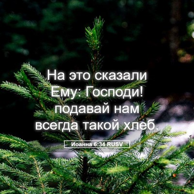 Picture 05 - Иоанна 6:34 RUSV - На это сказали Ему: - Bible Verse Picture