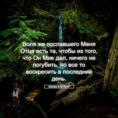 Picture 05 - Иоанна 6:39 RUSV - Воля же пославшего Меня - Bible Verse Picture