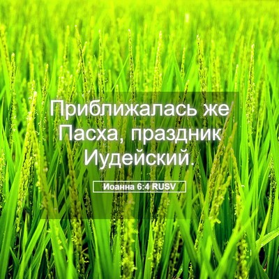 Picture 05 - Иоанна 6:4 RUSV - Приближалась же Пасха, - Bible Verse Picture