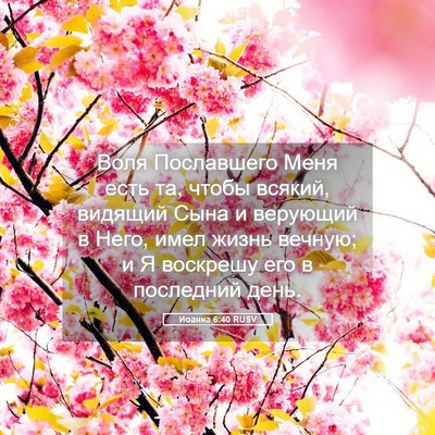 Picture 05 - Иоанна 6:40 RUSV - Воля Пославшего Меня есть - Bible Verse Picture