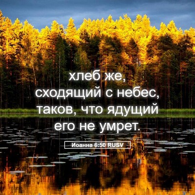 Picture 05 - Иоанна 6:50 RUSV - хлеб же, сходящий с небес, - Bible Verse Picture