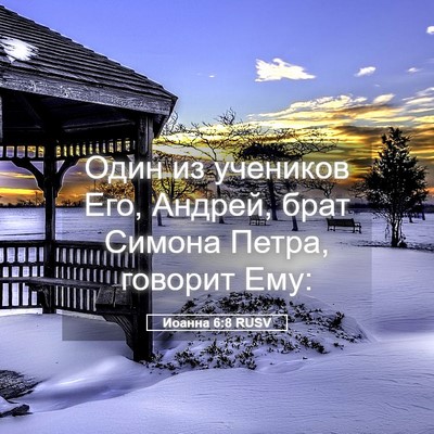 Picture 05 - Иоанна 6:8 RUSV - Один из учеников Его, - Bible Verse Picture