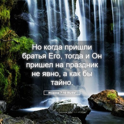 Picture 05 - Иоанна 7:10 RUSV - Но когда пришли братья Его, - Bible Verse Picture