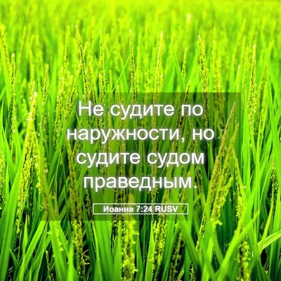 Picture 05 - Иоанна 7:24 RUSV - Не судите по наружности, но - Bible Verse Picture