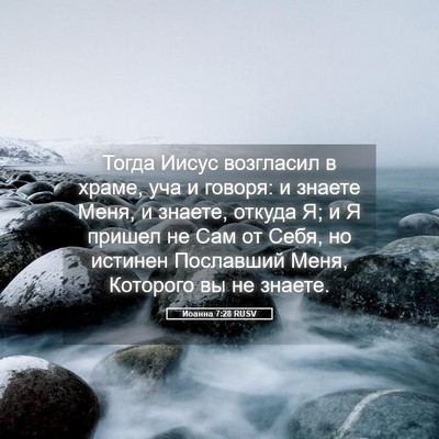 Picture 05 - Иоанна 7:28 RUSV - Тогда Иисус возгласил в - Bible Verse Picture
