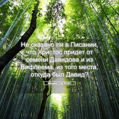 Picture 05 - Иоанна 7:42 RUSV - Не сказано ли в Писании, - Bible Verse Picture