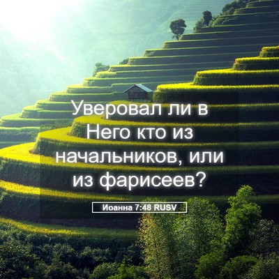 Picture 05 - Иоанна 7:48 RUSV - Уверовал ли в Него кто из - Bible Verse Picture
