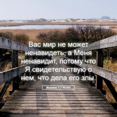 Picture 05 - Иоанна 7:7 RUSV - Вас мир не может - Bible Verse Picture