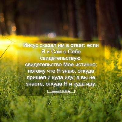 Picture 05 - Иоанна 8:14 RUSV - Иисус сказал им в ответ: - Bible Verse Picture