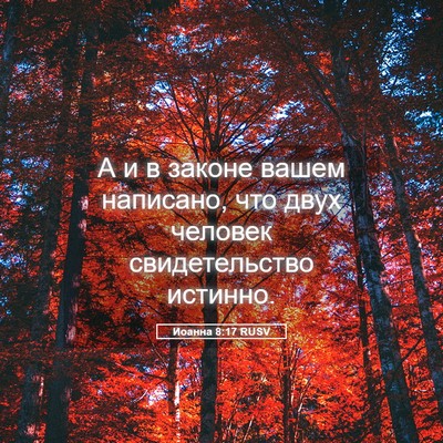 Picture 05 - Иоанна 8:17 RUSV - А и в законе вашем - Bible Verse Picture