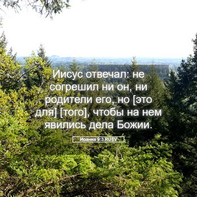 Picture 05 - Иоанна 9:3 RUSV - Иисус отвечал: не согрешил - Bible Verse Picture