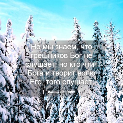Picture 05 - Иоанна 9:31 RUSV - Но мы знаем, что грешников - Bible Verse Picture