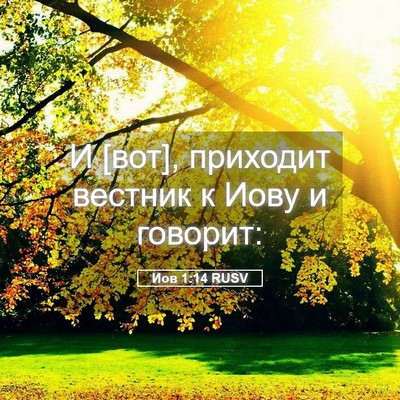 Picture 05 - Иов 1:14 RUSV - И [вот], приходит вестник к - Bible Verse Picture