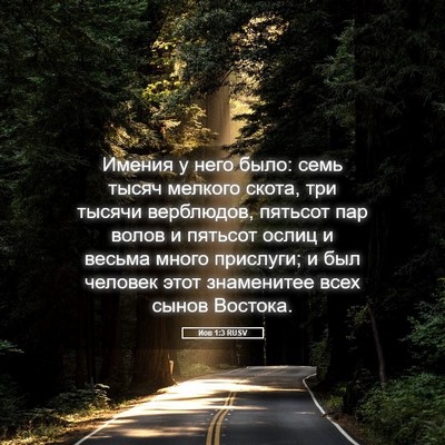 Picture 05 - Иов 1:3 RUSV - Имения у него было: семь - Bible Verse Picture