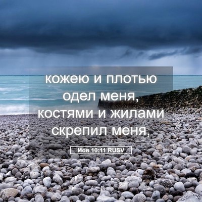 Picture 05 - Иов 10:11 RUSV - кожею и плотью одел меня, - Bible Verse Picture