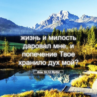 Picture 05 - Иов 10:12 RUSV - жизнь и милость даровал - Bible Verse Picture