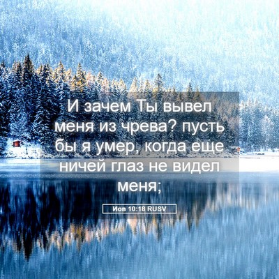 Picture 05 - Иов 10:18 RUSV - И зачем Ты вывел меня из - Bible Verse Picture
