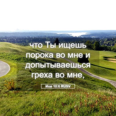 Picture 05 - Иов 10:6 RUSV - что Ты ищешь порока во мне - Bible Verse Picture
