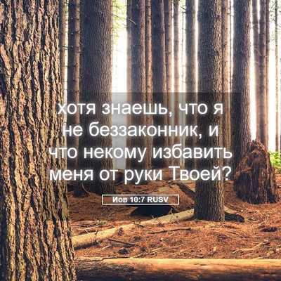 Picture 05 - Иов 10:7 RUSV - хотя знаешь, что я не - Bible Verse Picture