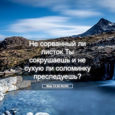 Picture 05 - Иов 13:25 RUSV - Не сорванный ли листок Ты - Bible Verse Picture
